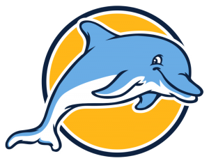 Plain Dolphin Logo